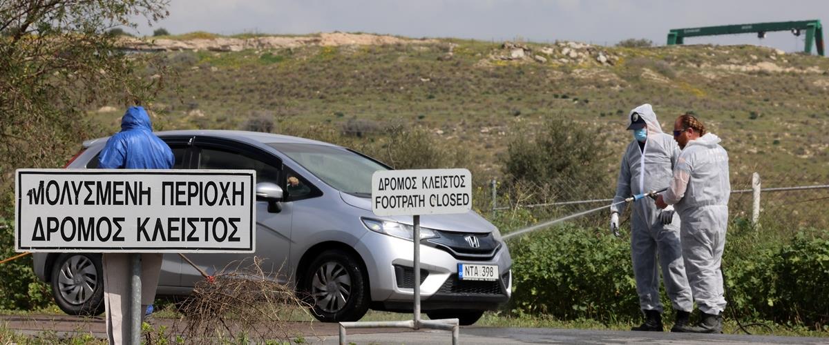 5436861887432166 cats