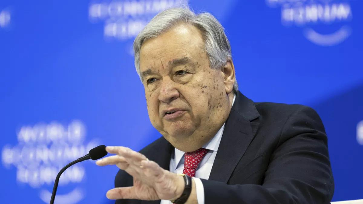 5436924619849920 image