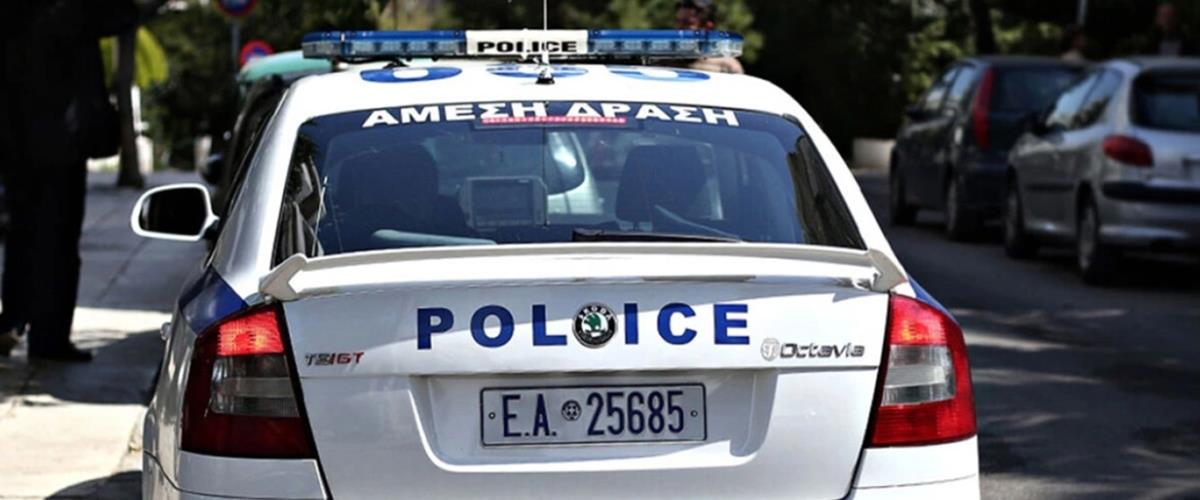 5437003280233801 cats