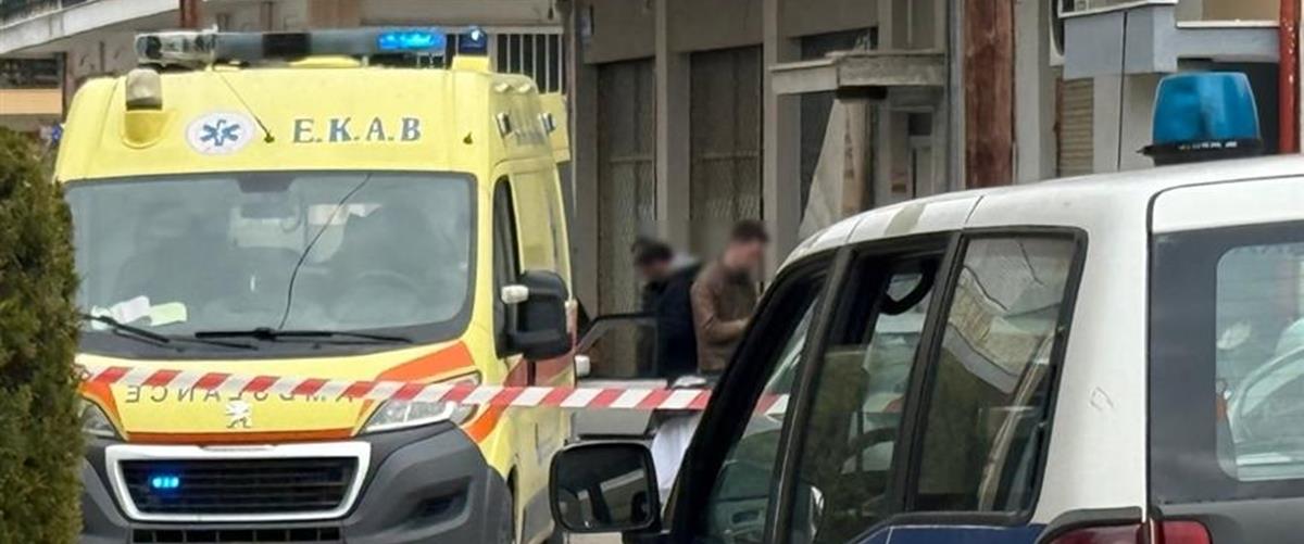 5437032249398018 cats