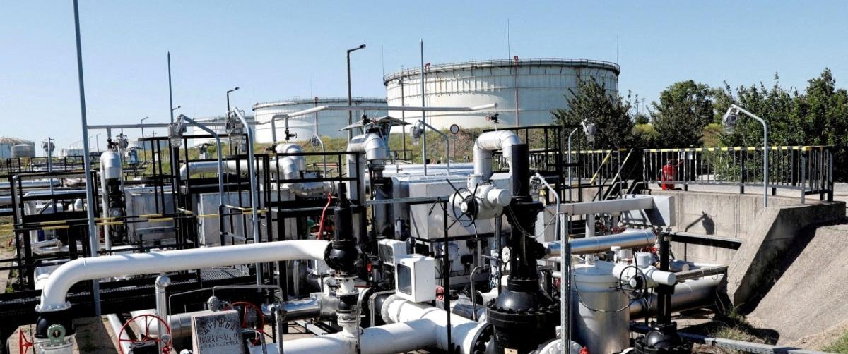 5437034533222316 cats