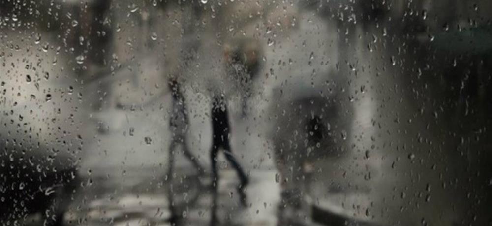 5437436382939071 cats