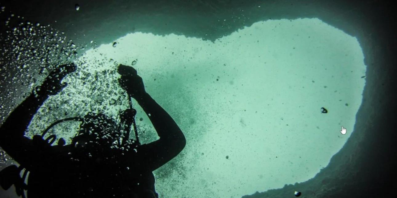 5437483866119266 image