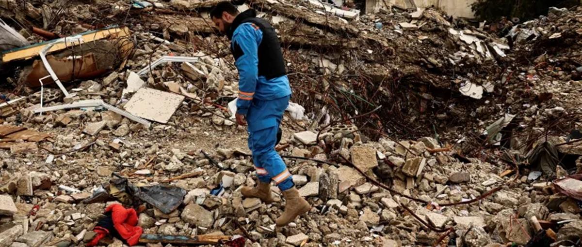 5437504043943944 cats