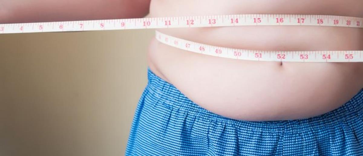 5437652193564793 cats