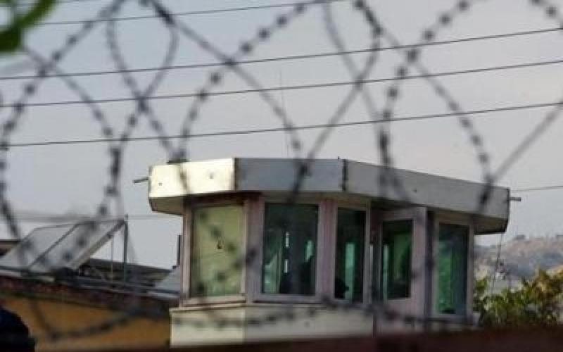 5437764594902608 image