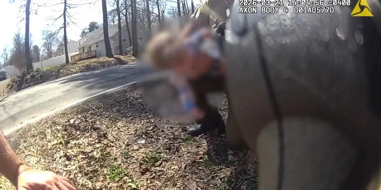 5437933837853350 image