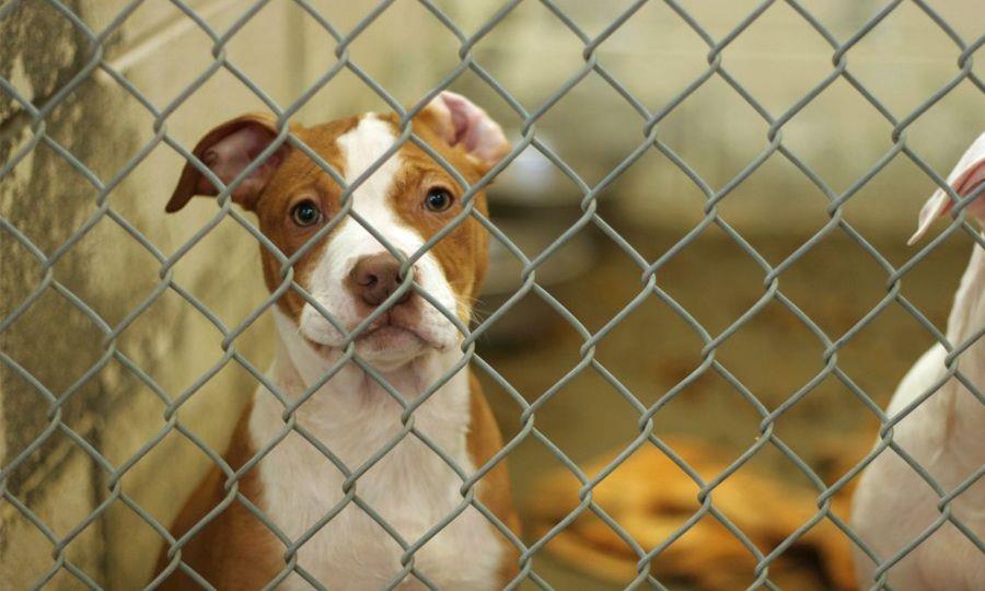 5437964517138306 image