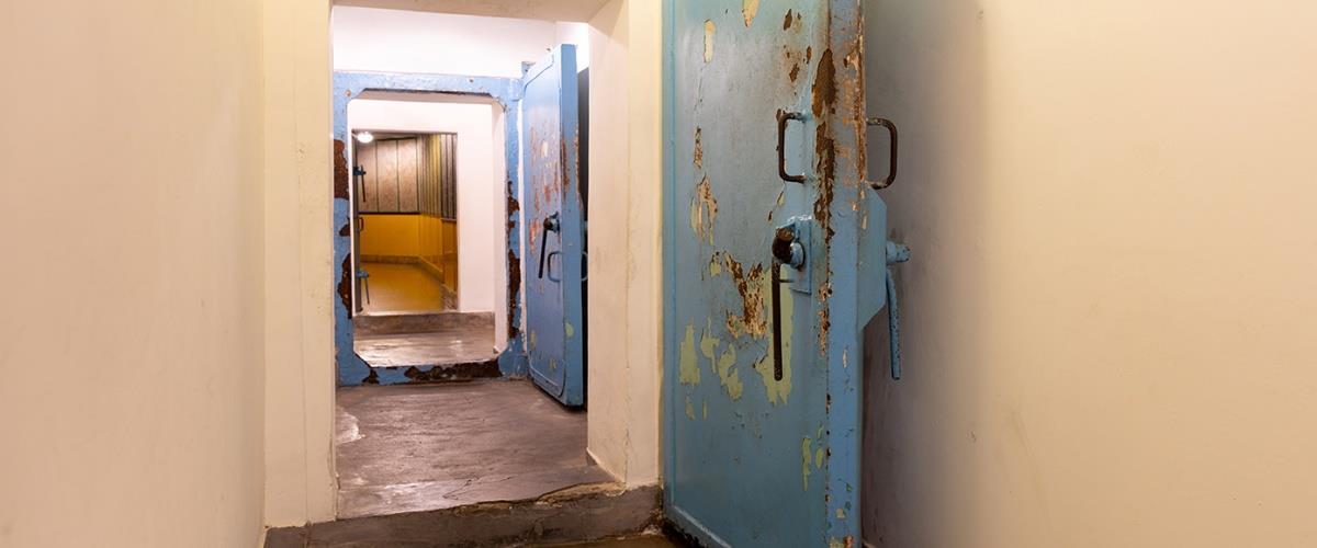 5438359041799549 image