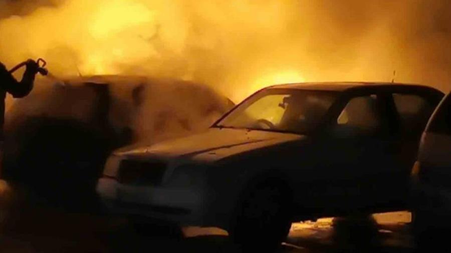 5438510140445151 cats