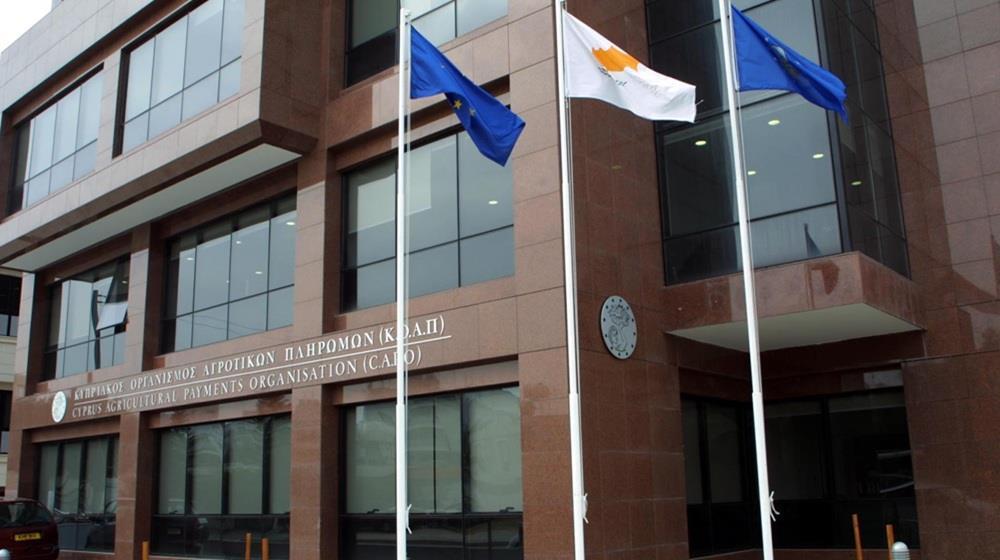 5438541848856571 image