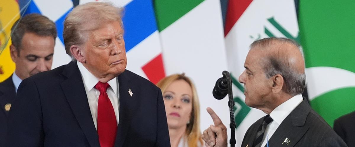 5438710886415556 cats