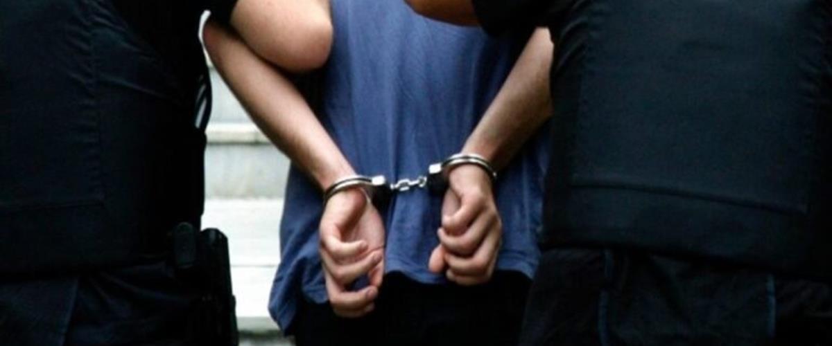 5438742670865186 cats