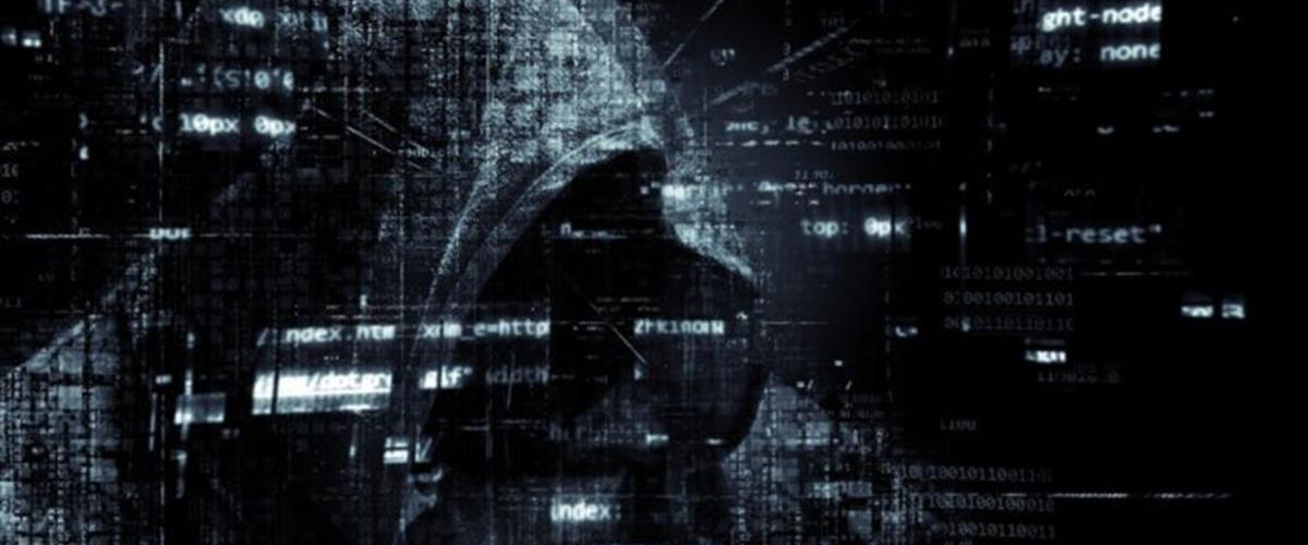 5438797202286046 cats