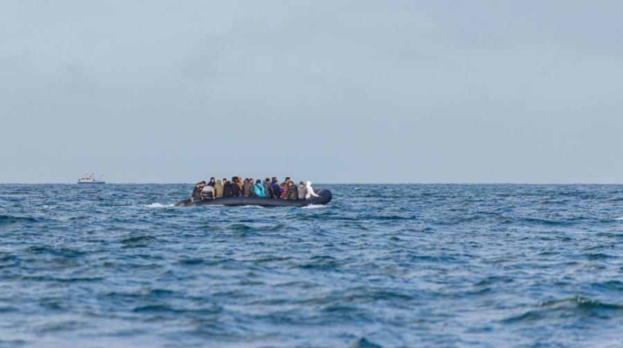 5439232734894954 metanastes100