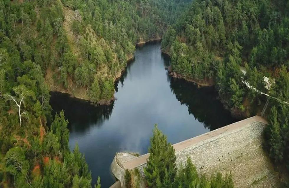 5439239872799089 image