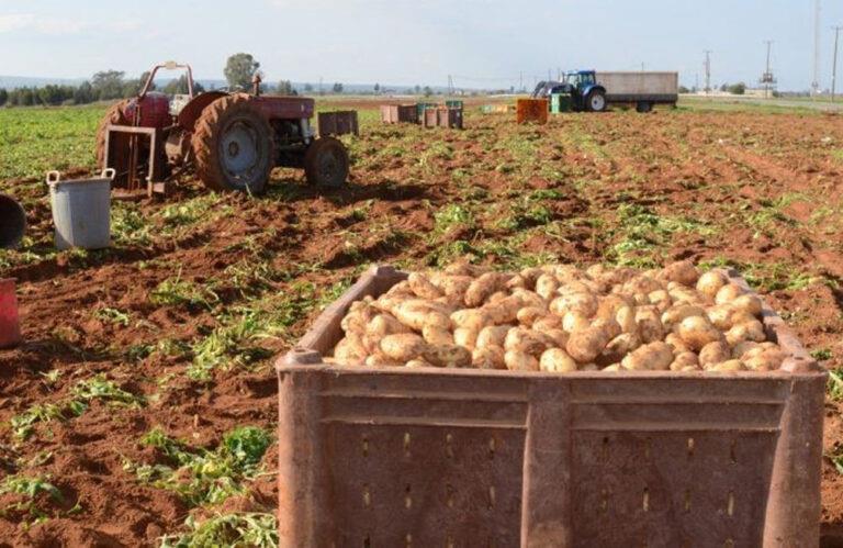 5439284480191433 image