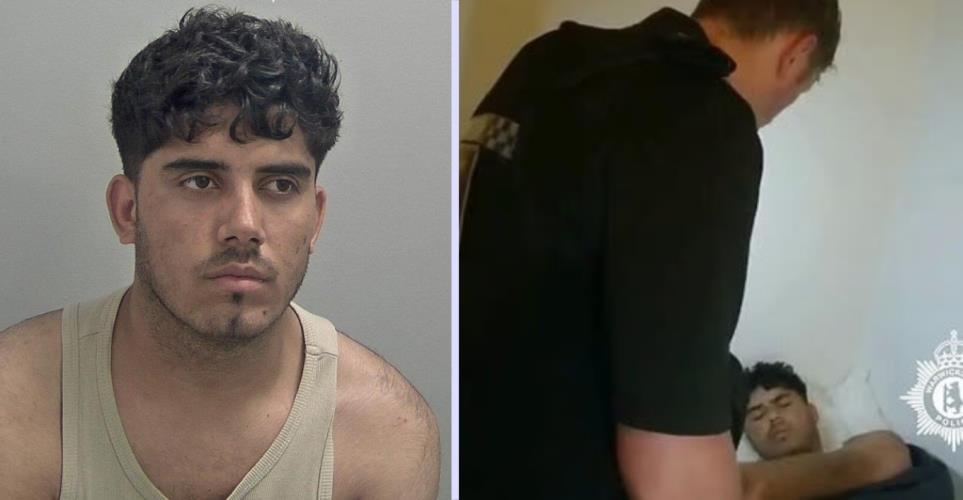 5439305279696555 image