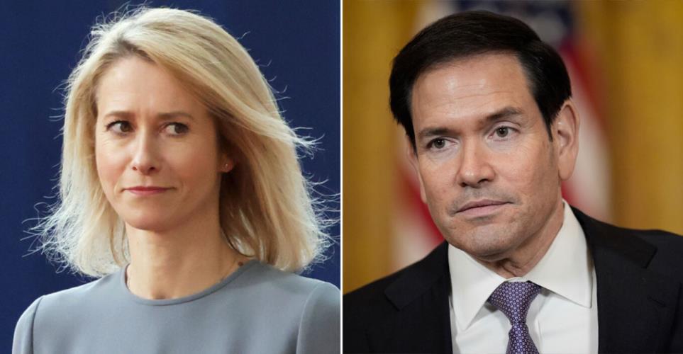 5439367439035862 image