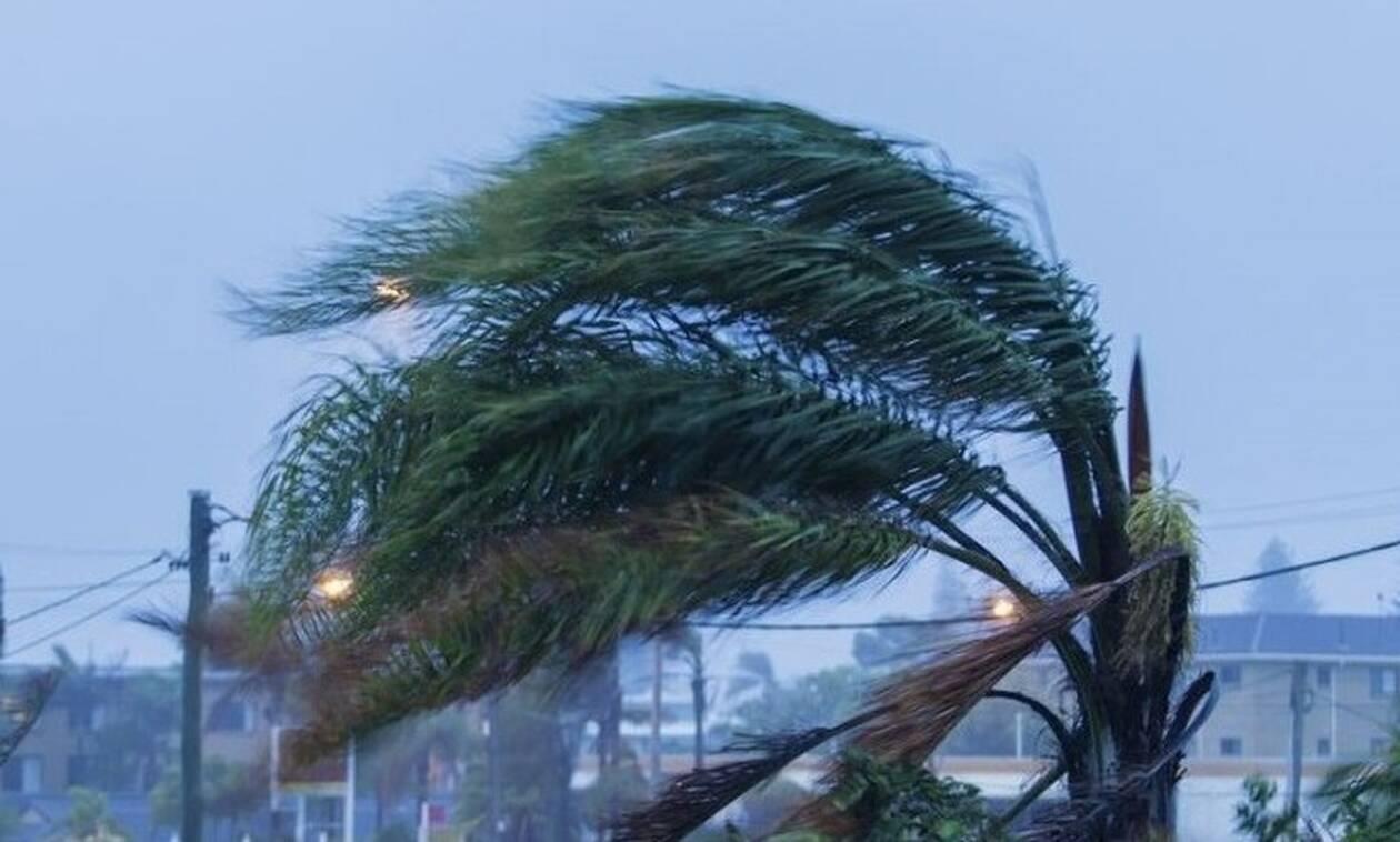 5440128587445010 image