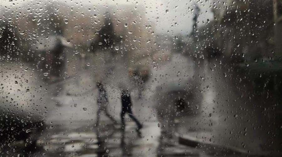 5440845976484889 b b b b b b b vroxes