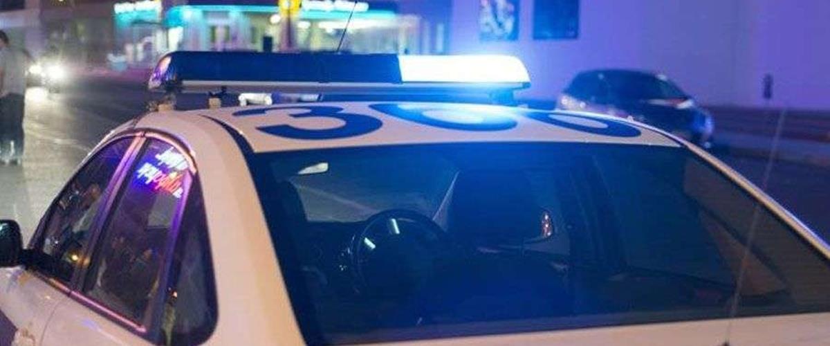 5441136455905549 cats