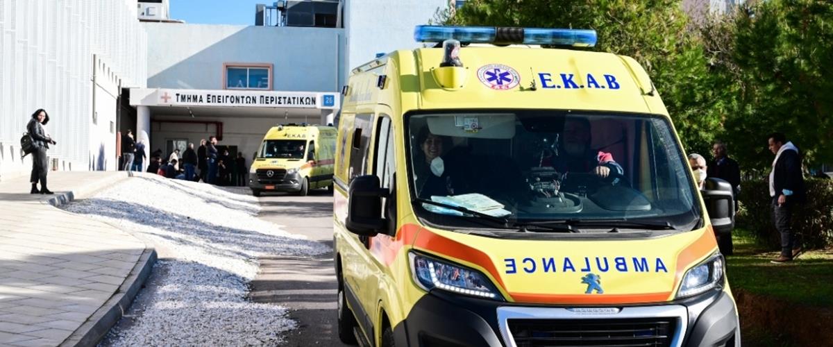 5441246066266168 cats