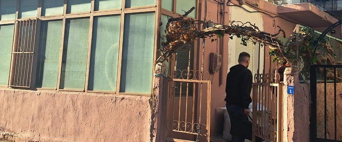 5441298087597477 cats