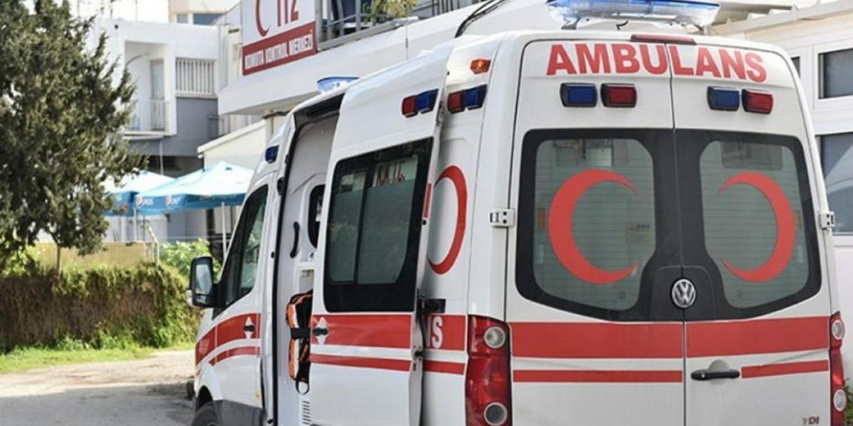 5441315928023358 cats