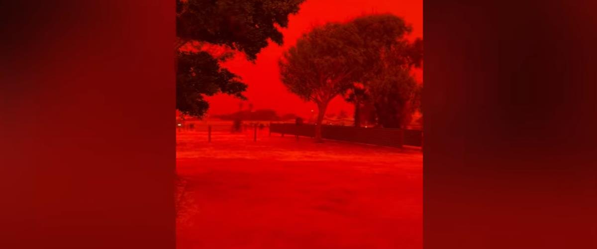 5441346186100650 cats