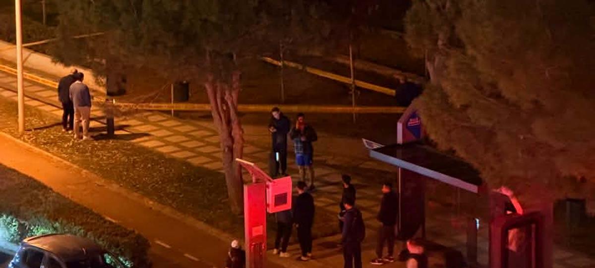 5441365230292345 cats