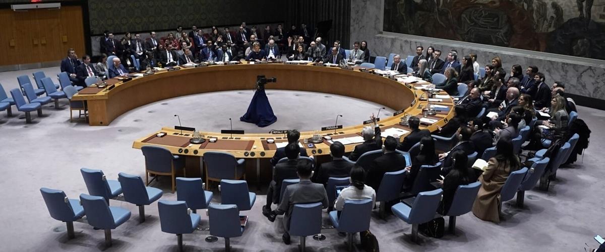 5441379014265796 cats