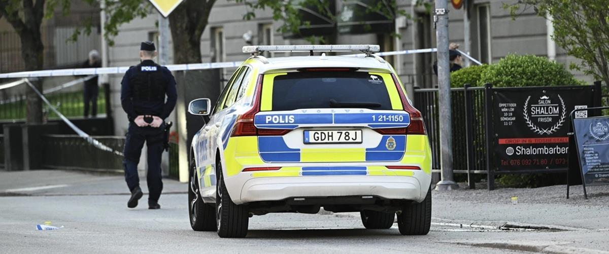 5441393852212971 cats