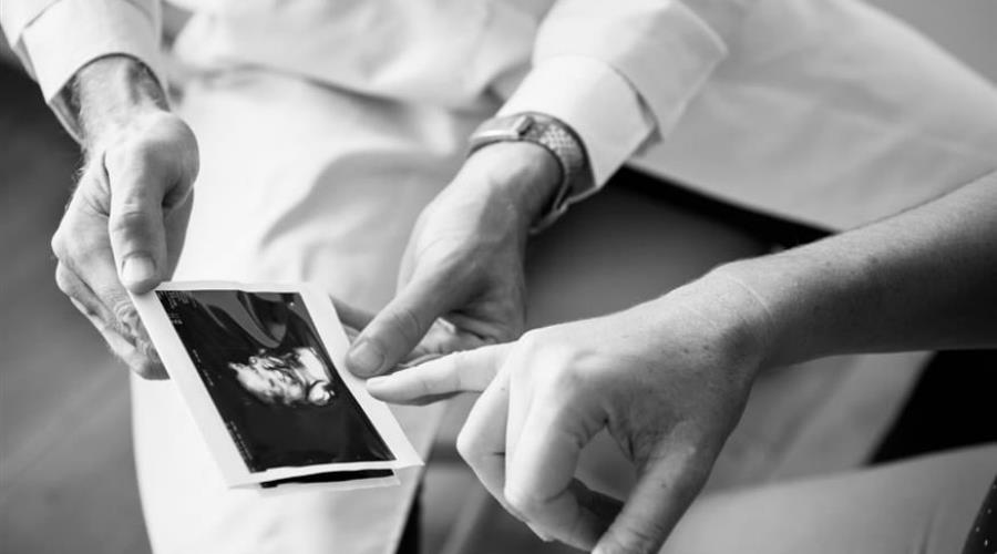 5441884462397740 3dc1fa70-6fa1-4c4c-aab9-9f245622cb8b