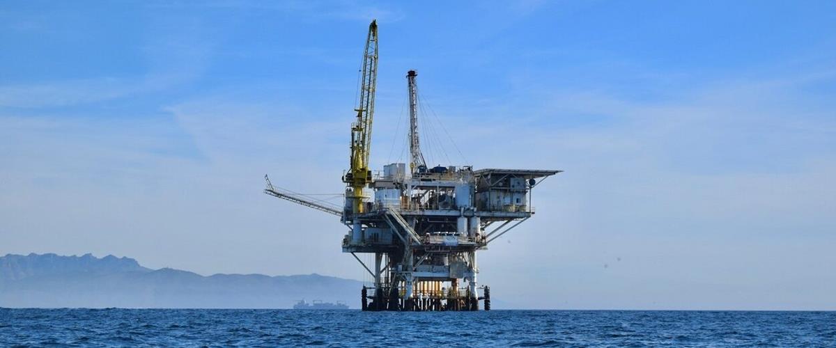 5441991266360887 cats