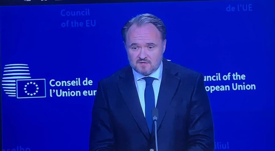 5442165216499496 cats