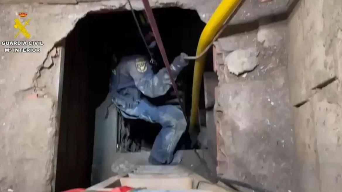 5442182747119468 image