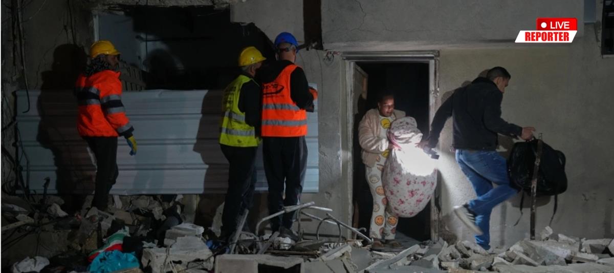 5443453831077228 cats