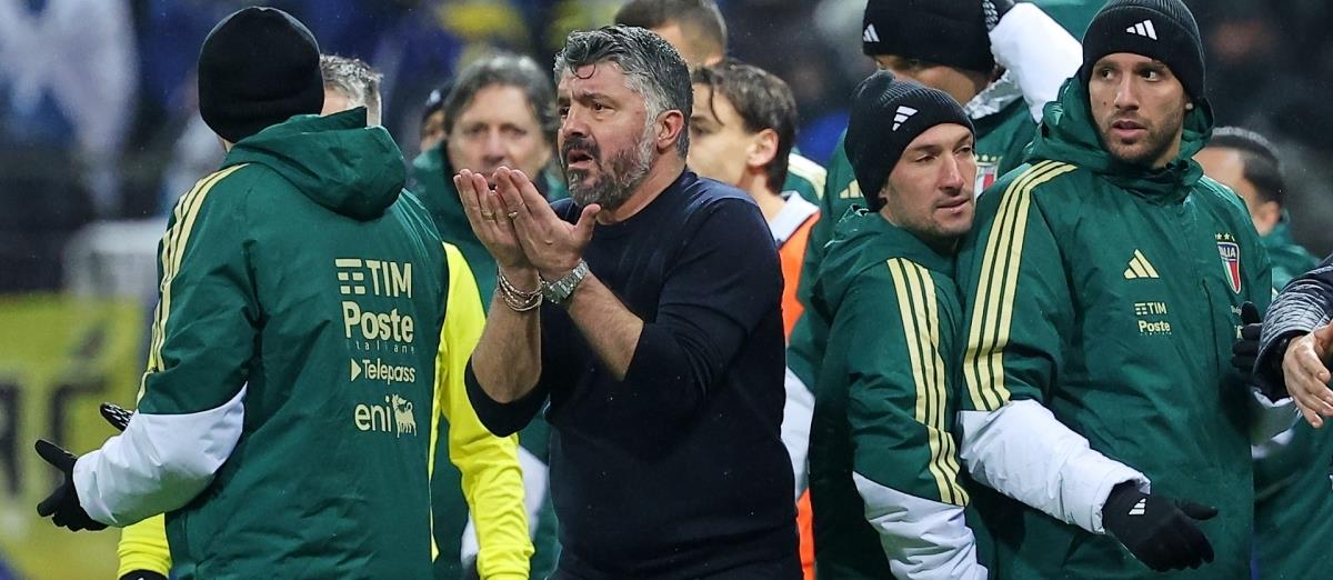 5443489014422253 cats