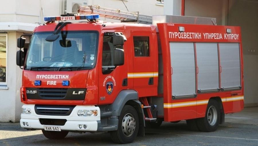 5443565737346046 cats