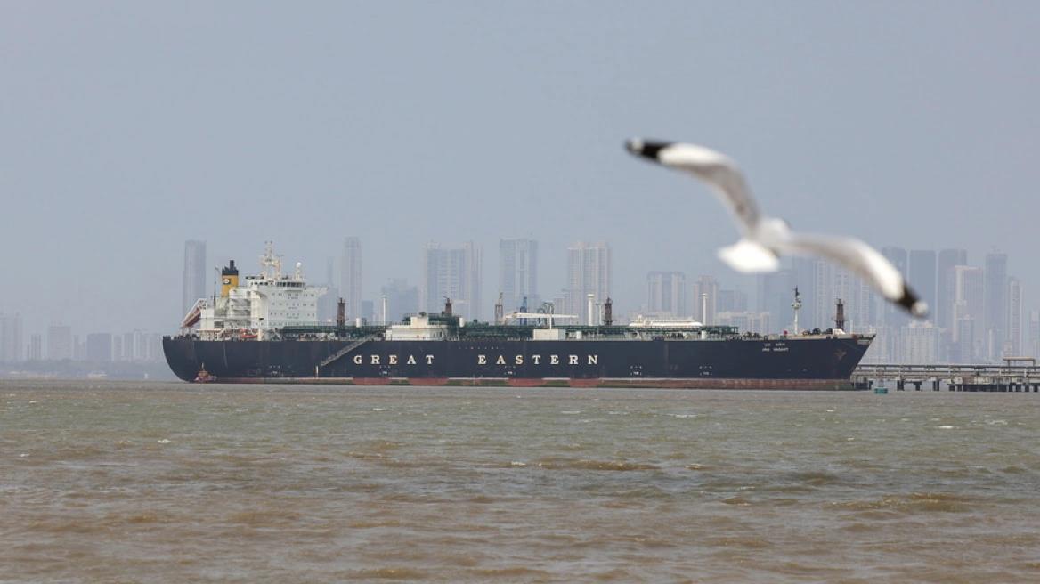 5443599225466035 image