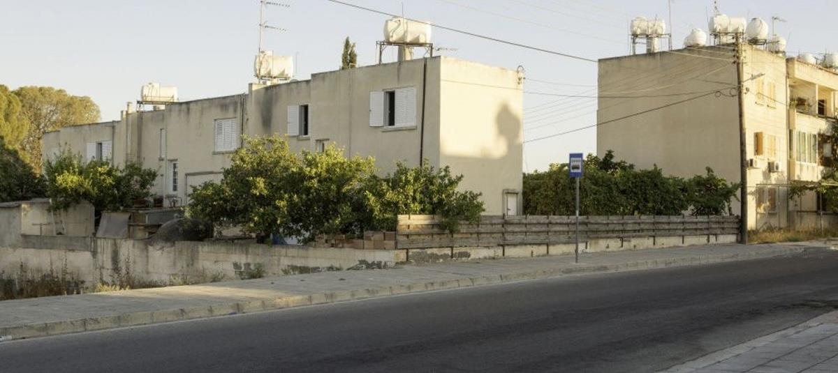 5443722527720848 cats