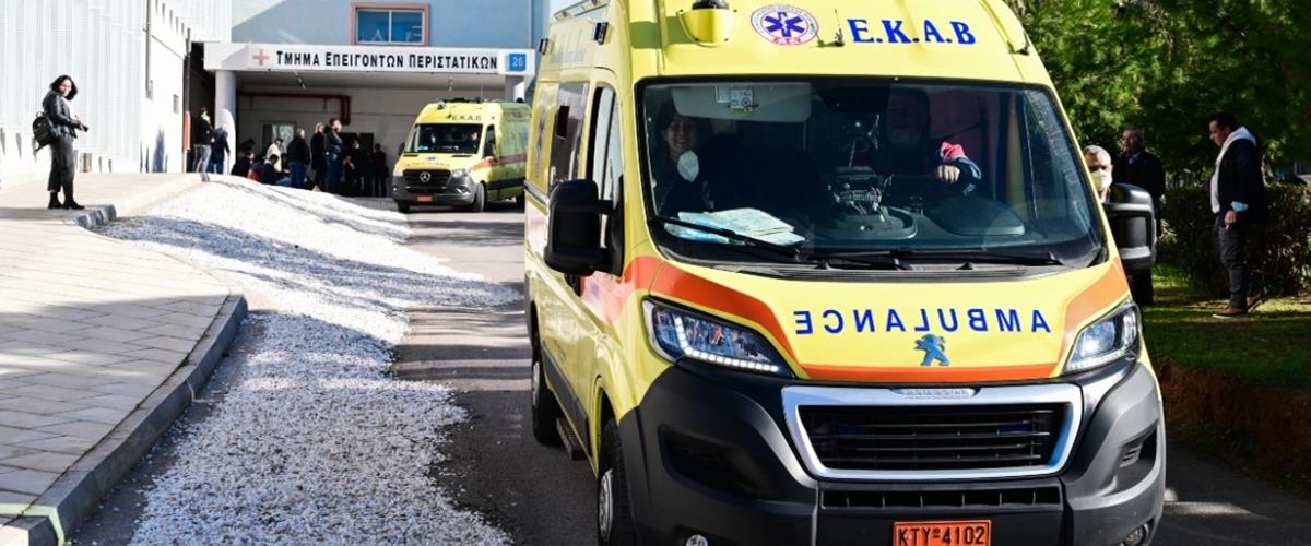 5443736259187629 cats