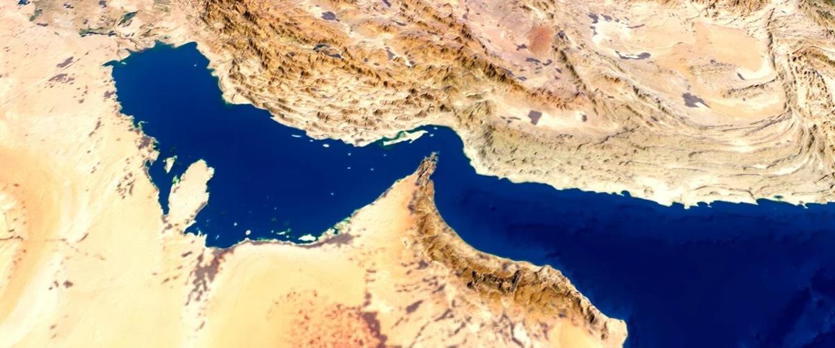 5443744448026464 cats