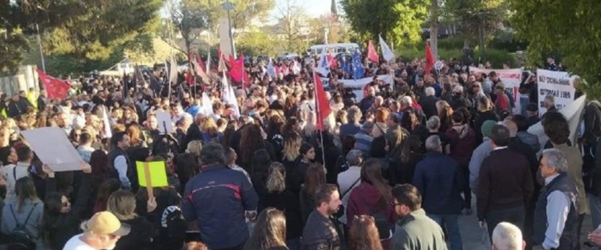 5443749505216977 cats