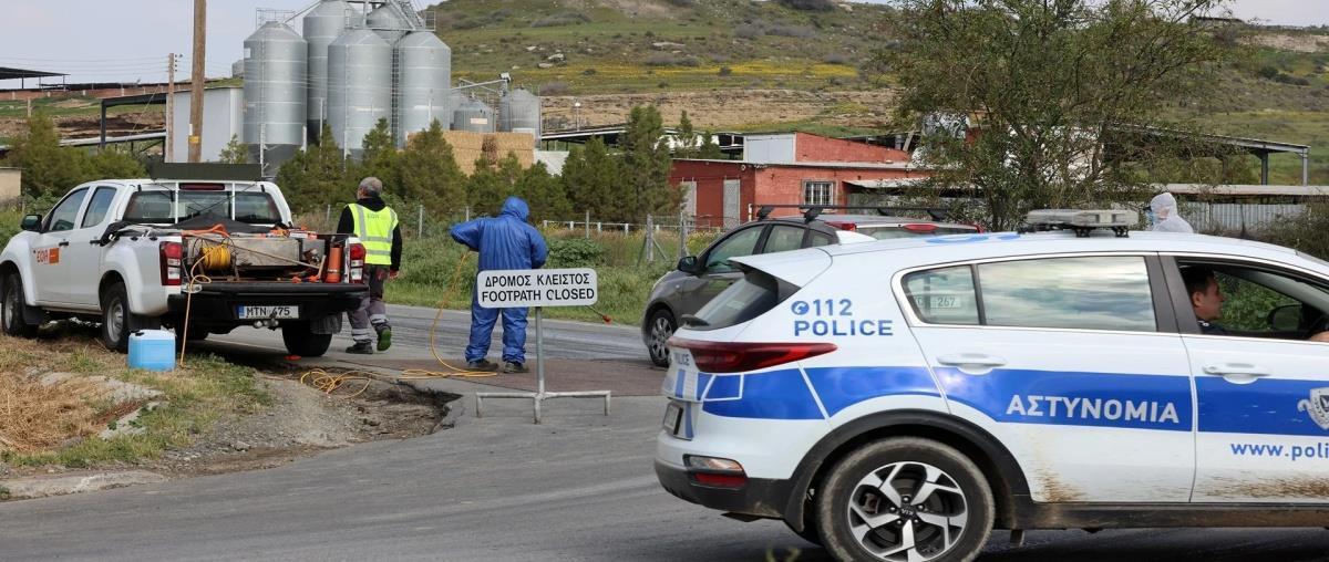 5443757468517342 image