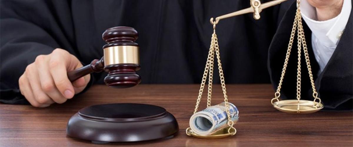 5443842305344488 cats