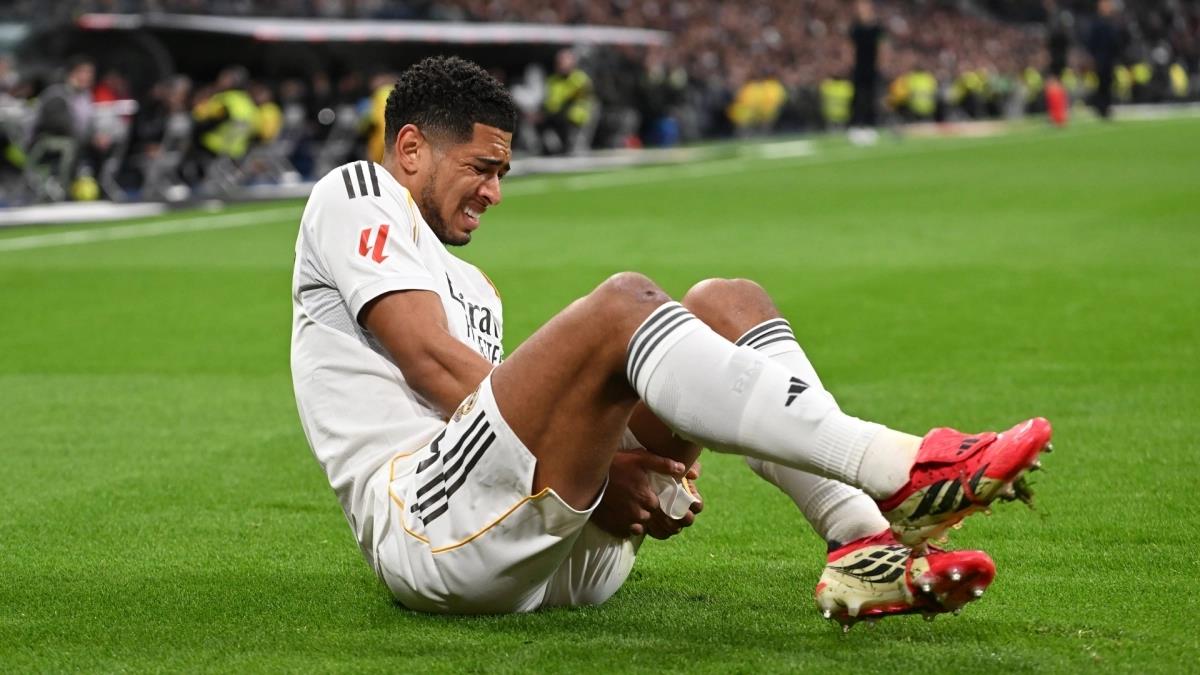 5443969603065643 image