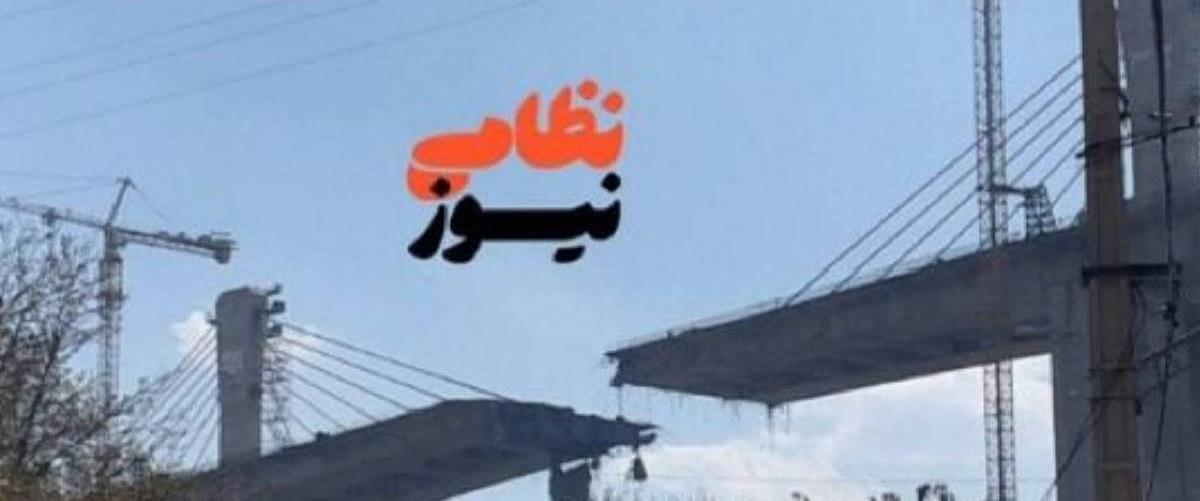 5443995105412197 cats