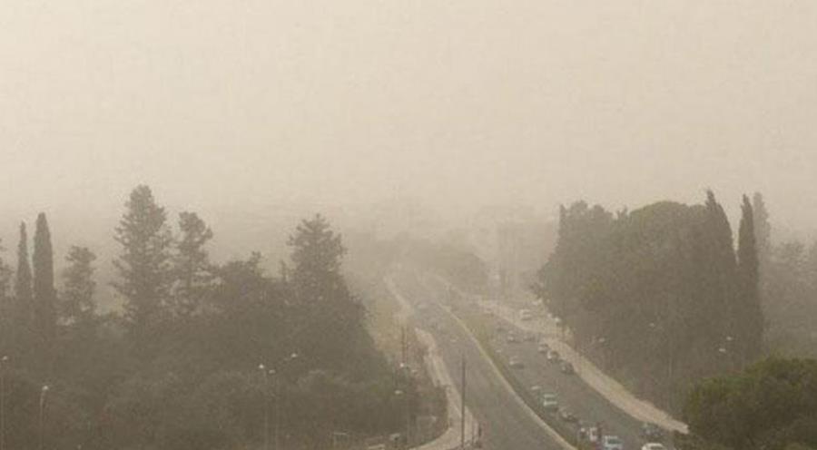 5444320179975254 cats